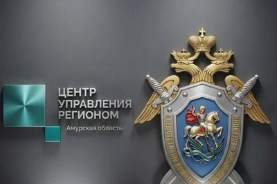 Следственное управление и ЦУР объединились для защиты детей онлайн