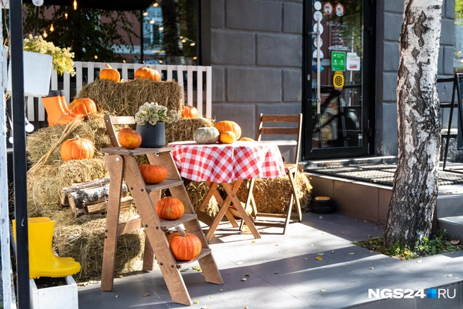 Делайте так, чтобы в кадр попадало все красивое, то есть вы | Источник: Мария Ленц / NGS24.RU
