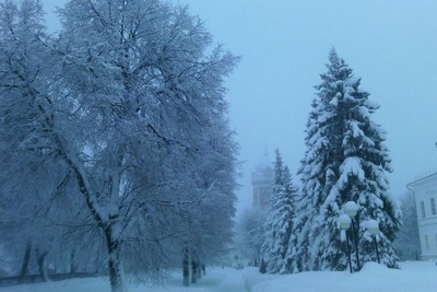 Ulyanovsk news: Mouse fever, internet outages, grid failure