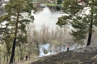 Поджигатель Грушинского склона оказался ранее судимым вором