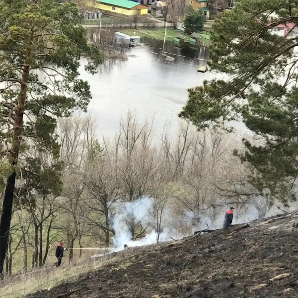 Источник: Минприроды Самарской области
