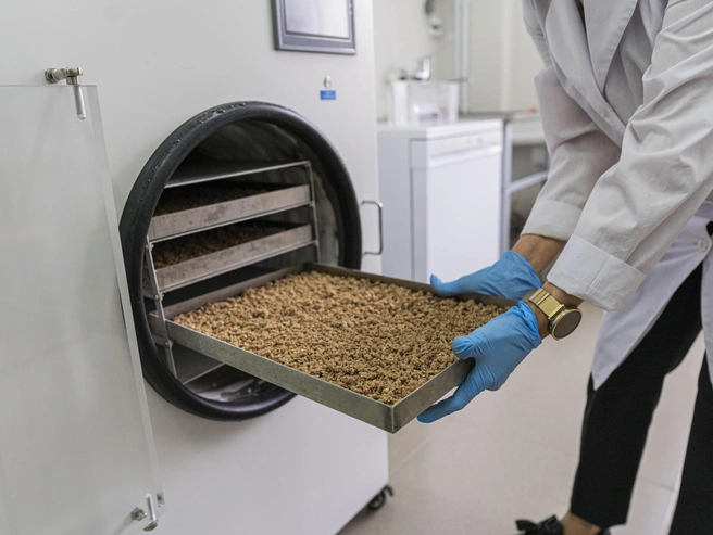 Источник: Бурятская ГСХА