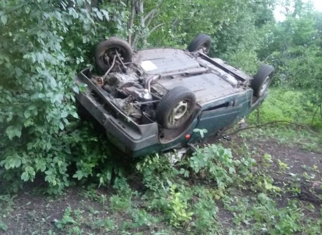 В Сараевском районе пьяный водитель без прав опрокинулся в кювет | ya62.ru