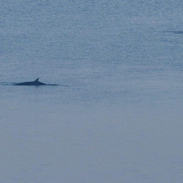 Источник: Игорь Бессараб / SHKOTA NEWS