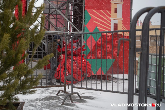 Источник: Елена Буйвол / VLADIVOSTOK1.RU