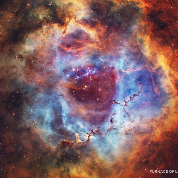 Второе место в номинации Deep Sky Observations. Туманность Розетка | Источник: Rod Prazeres / Capture the Dark 2025