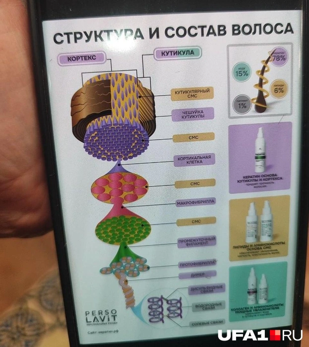 Структура славянского волоса многослойная | Источник: Марина Каримова / UFA1.RU