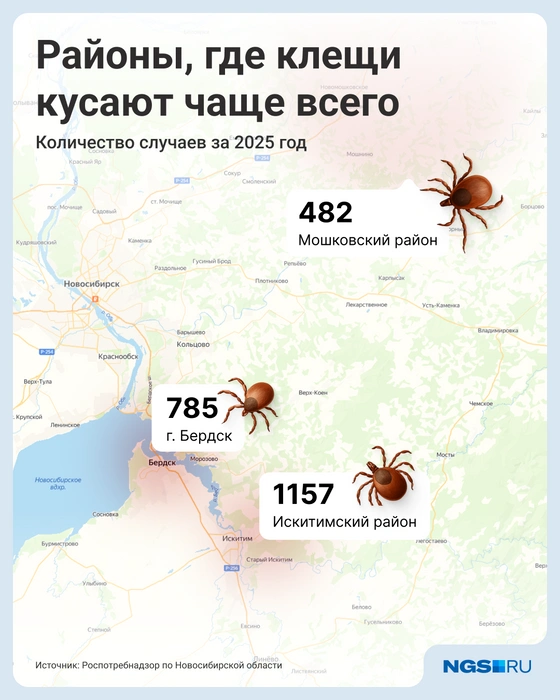 Источник: Виталий Калистратов / Городские порталы