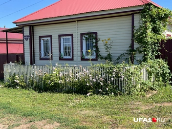 Здесь просто высадили цветы | Источник: Андрей Бирюков / UFA1.RU