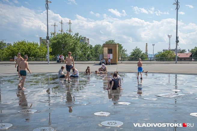 Источник: Елена Буйвол / VLADIVOSTOK1.RU