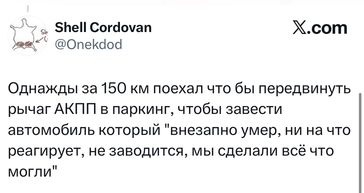 Источник: X (Twitter)