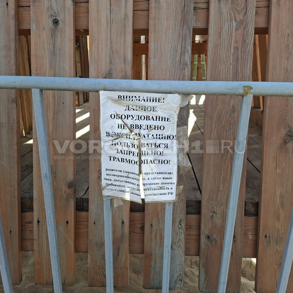 Источник: Алёна Воропаева/ Voronezh1.ru