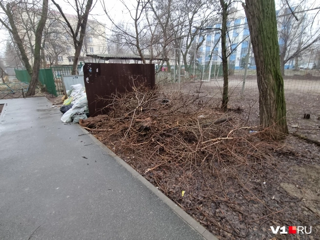 По мнению жителей, проверка от надзорных органов и неминуемое наказание должны настигнуть тех, кто забывает исполнять свои обязанности | Источник: Константин Завриков / V1.RU