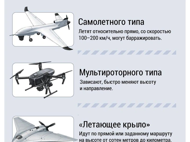 Источник: Дмитрий Гладышев / 72.RU 
