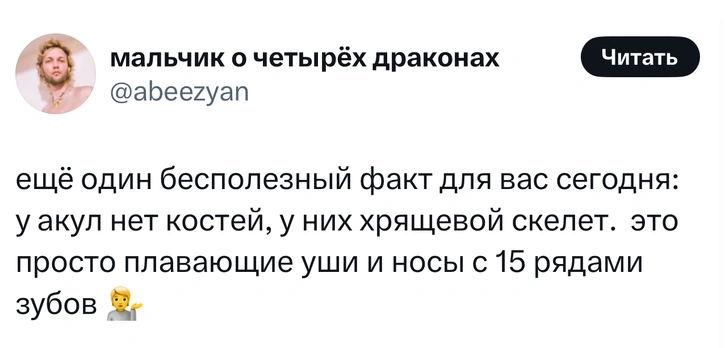 Источник: X (Twitter)