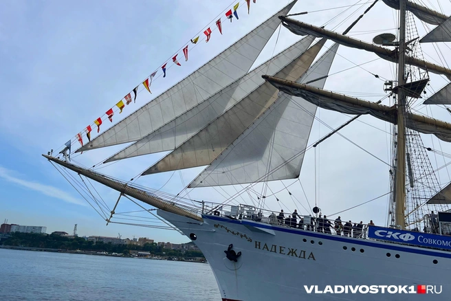 Источник: Елена Буйвол / VLADIVOSTOK1.RU