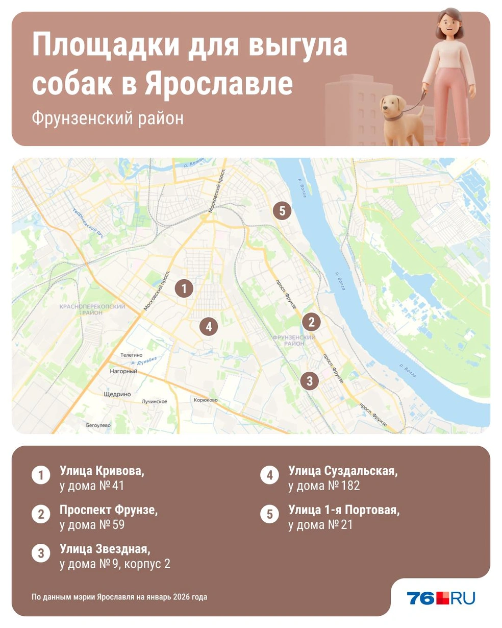 Во Фрунзенском районе всего пять таких специализированных мест  | Источник: Юрий Скулыбердин / Городские медиа
