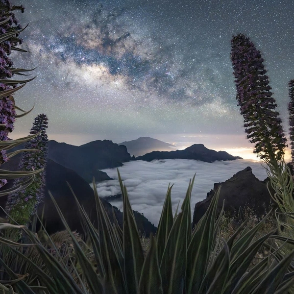 Источник: Max Terwindt / Milky Way Photographer of the Year 2026