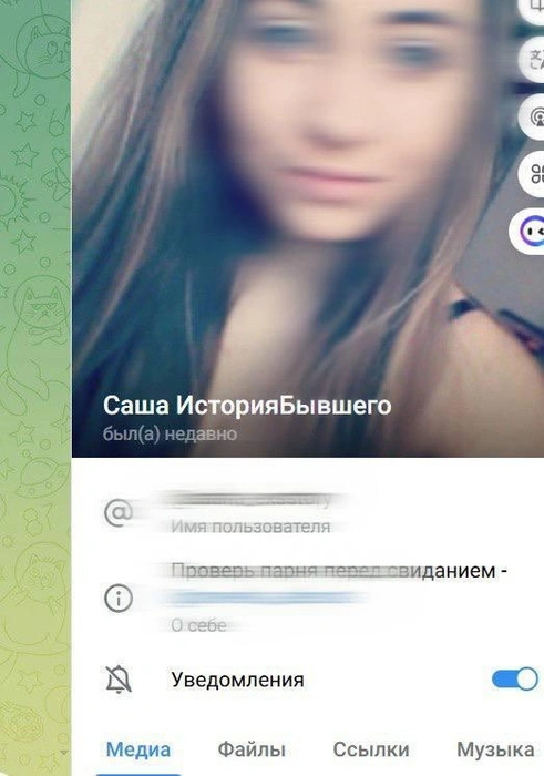 Так выглядит профиль одного из ботов | Источник: Telegram