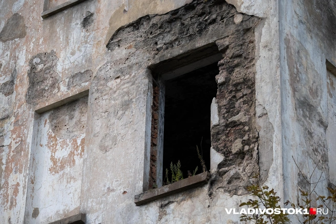 Источник: Елена Буйвол / VLADIVOSTOK1.RU