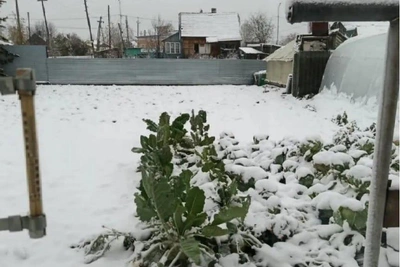 Урал ждет мокрый снег и гололед 5 октября