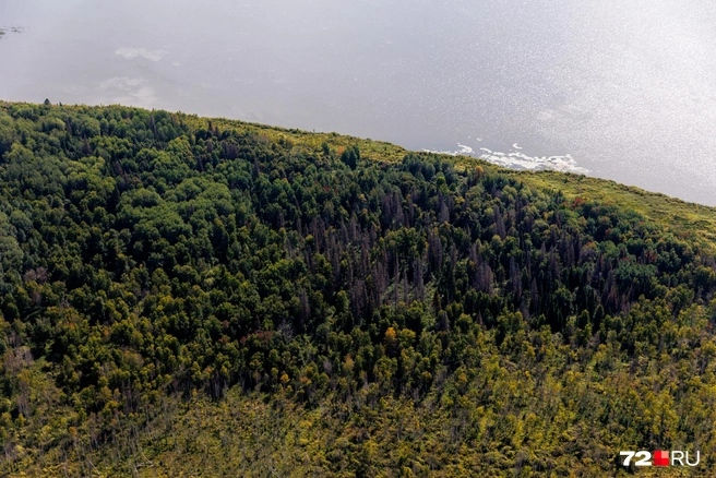 В этом гору реки наполнены, рыбы много, замечает Сергей  | Источник: Ирина Шарова / 72.RU 