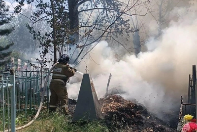 В Алтайском крае загорелось кладбище: площадь 1 гектар