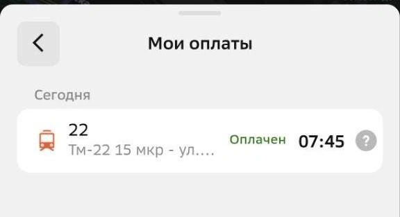 Вот и билет | Источник: 2GIS