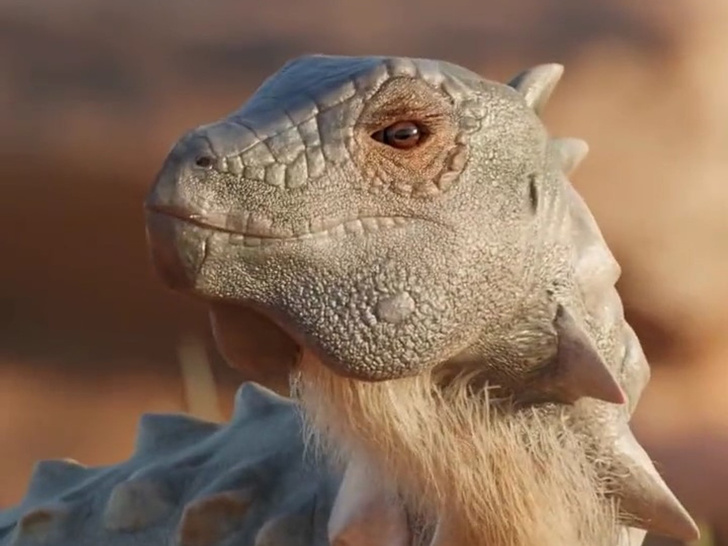 Крошечный дракон: посмотрите, как выглядел динозавр размером с упитанную кошку