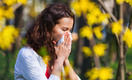 Генетики выяснили, какие народы России больше всего склонны к аллергии на пыльцу
