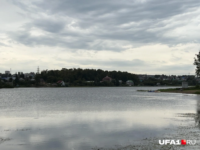 В Давлеканово такая же история | Источник: Андрей Бирюков / UFA1.RU