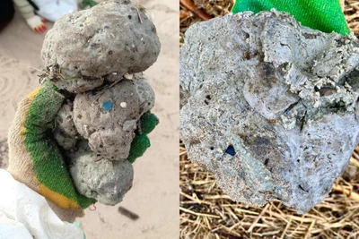 Пальмовое масло снова выбросило на черноморский берег в Темрюкском районе