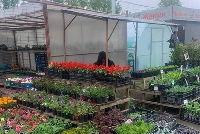 Садовая ярмарка с Шершневского кольца переедет на новую площадку