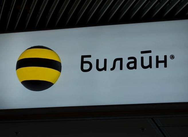 Рязанское управление Роскомнадзора оштрафовало «Билайн» и «Мегафон» | ya62.ru