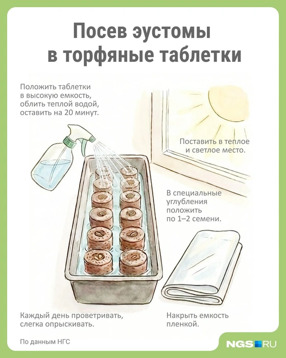 Источник: Юрий Орлов / Городские медиа