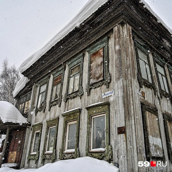 Мы заметили этого пса в нижнем правом окне | Источник: Василина Любимова / 59.RU