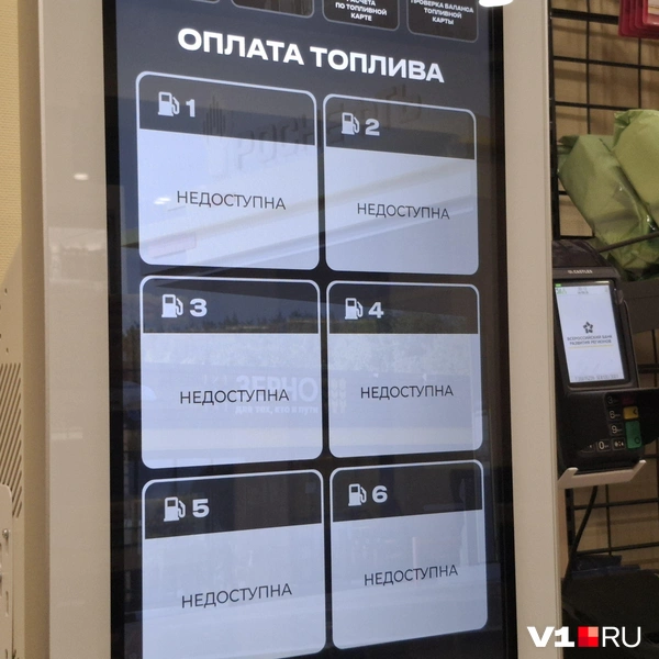 Источник: Тимофей Крылов / V1.RU