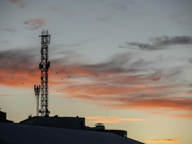 Птицы кружат над городом, пока последние краски неба постепенно гаснут в преддверии ночи | Источник: Александр Куренной / 76.RU