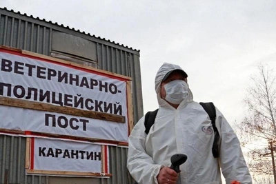 Rabies quarantine imposed in Bashkir village near Baymak