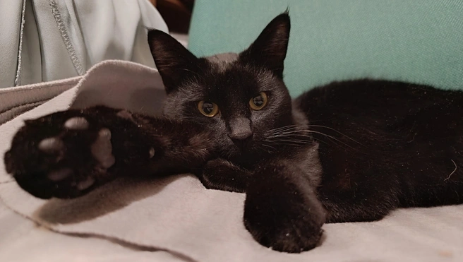 Источник: Анна Костромитинова