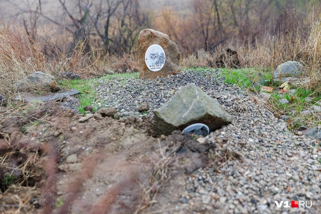 Еще одна могила разворочена неизвестными | Источник: Алексей Волхонский / V1.RU