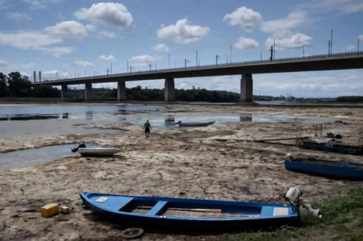 На берегу Дуная нашли останки молодого мамонта, скрытые под водой со времен ледникового периода На берегу Дуная нашли останки молодого мамонта, скрытые под водой со времен ледникового периода