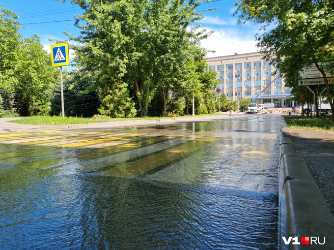 «Концессии» словно избрали этот участок улицы местом для непрекращающейся тренировки | Источник: Константин Завриков / V1.RU