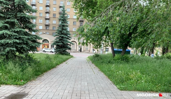 Сезон летних прогулок официально открыт | Источник: Полина Котышева / MGORSK.RU