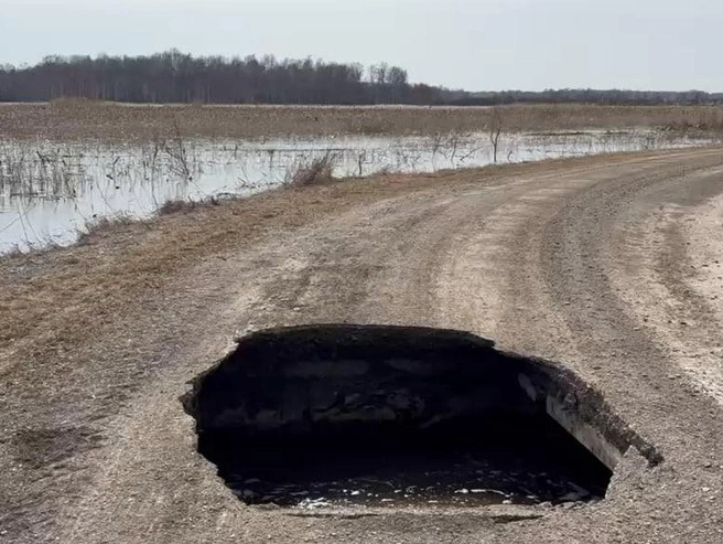 Размыв водопропускной трубы произошел из-за перелива паводковых вод | Источник: «Дороги НСО» / Telegram
