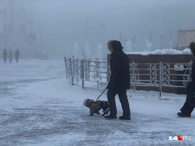 Выходной выдастся холодным, надо утепляться | Источник: Ольга Донская / 14.RU