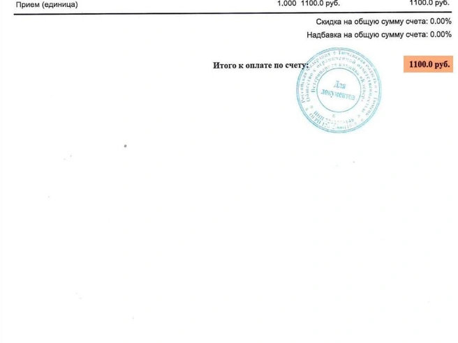А это отдельный чек за прием | Источник: предоставлено ветклиникой «Клевер»