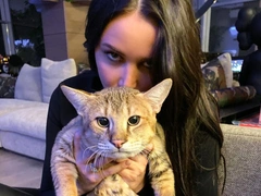 «Пока Тимурыч спит»: Анастасия Решетова поит котов молоком из детской бутылочки
