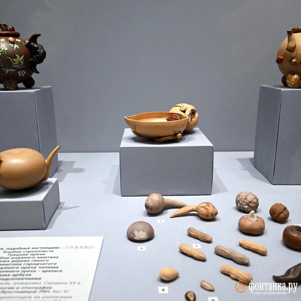 Источник: Илья Снопченко / «Фонтанка.ру»