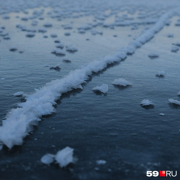 Источник: Тимофей Калмаков / 59.RU